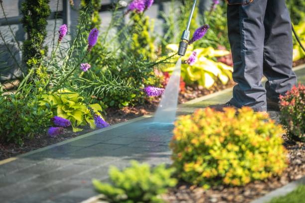 Best Parking Lot and Garage Cleaning  in Bloomfield Hills, MI